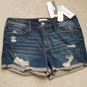 Distressed Shorts